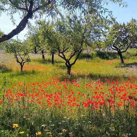 Cortijo La Estrella Apartamento Vélez Rubio
