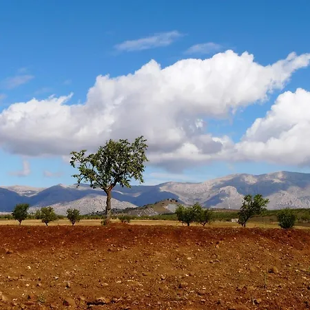 Cortijo La Estrella