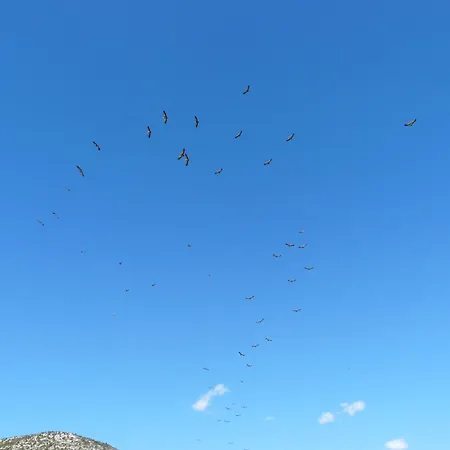 Cortijo La Estrella