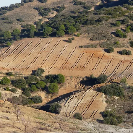 Cortijo La Estrella *