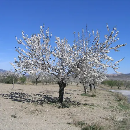 Cortijo La Estrella