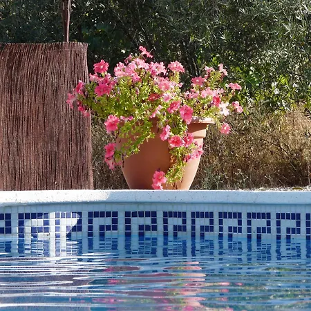 Cortijo La Estrella Apartamento *