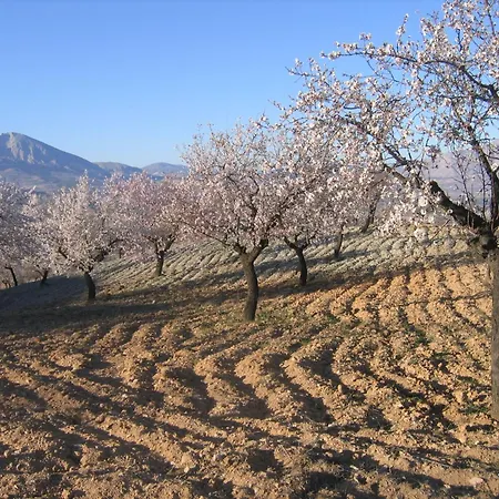Cortijo La Estrella *