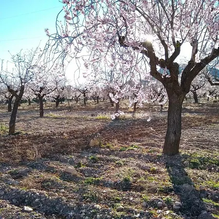 Apartamento Cortijo La Estrella *