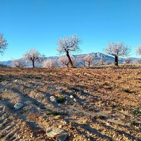 Cortijo La Estrella